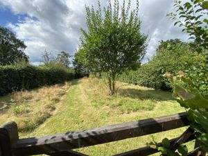 Secret Garden- click for photo gallery